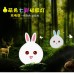 Cartoon Silicone Rabbit Night Light - Creative Birthday Gift & Sleep Companion for Kids