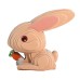  Children's 3D DIY Animal Puzzle, Rabbit, Educational Toy for Kids Ages 3-6