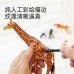 Realistic Animal Models | 15pcs Play Zoo Set | Educational Toy for Early Learning